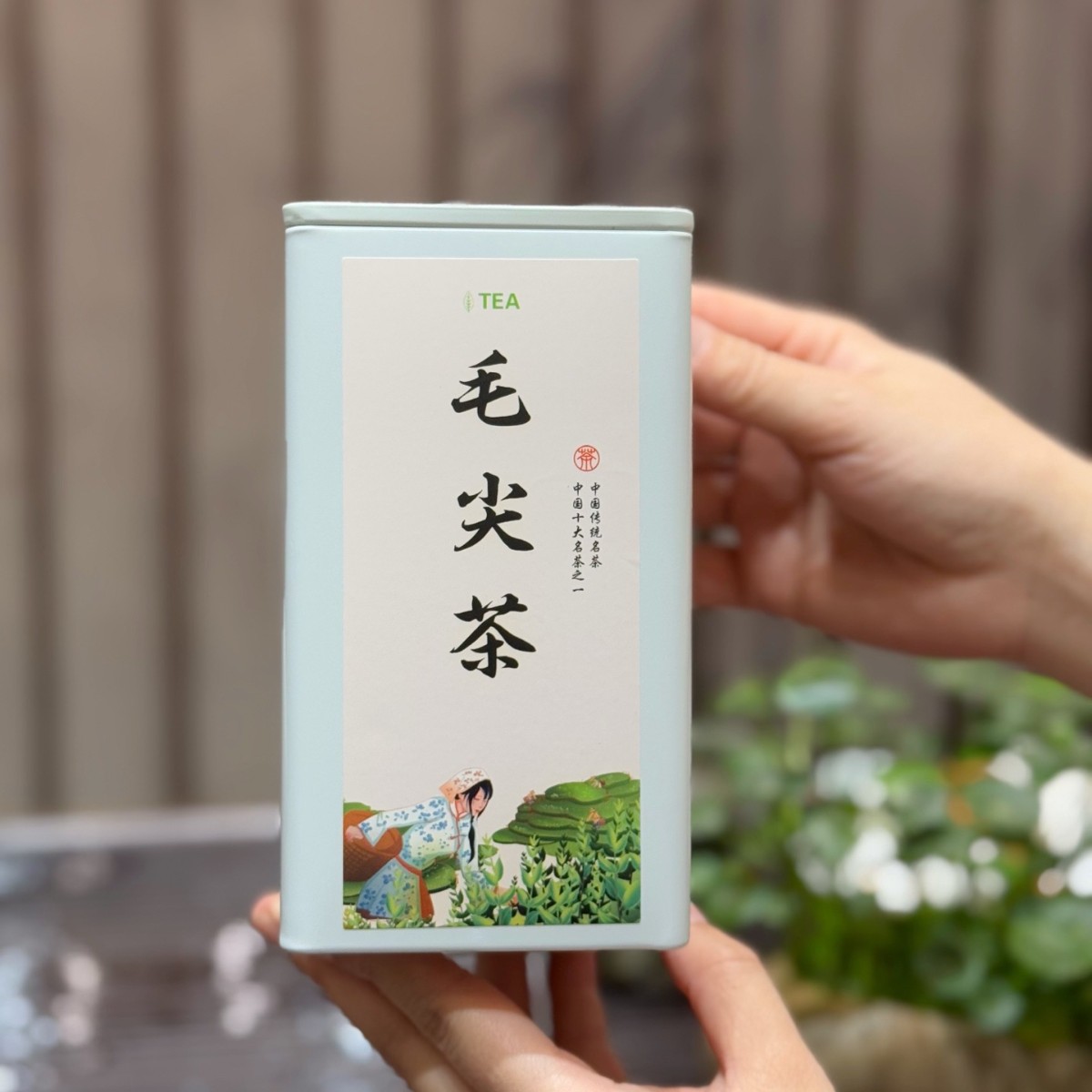 2025 New Tea Maojian Tea Alpine Green Tea Factory Wholesale Mingqian tender buds spring tea yourself drink canned tea wholesale