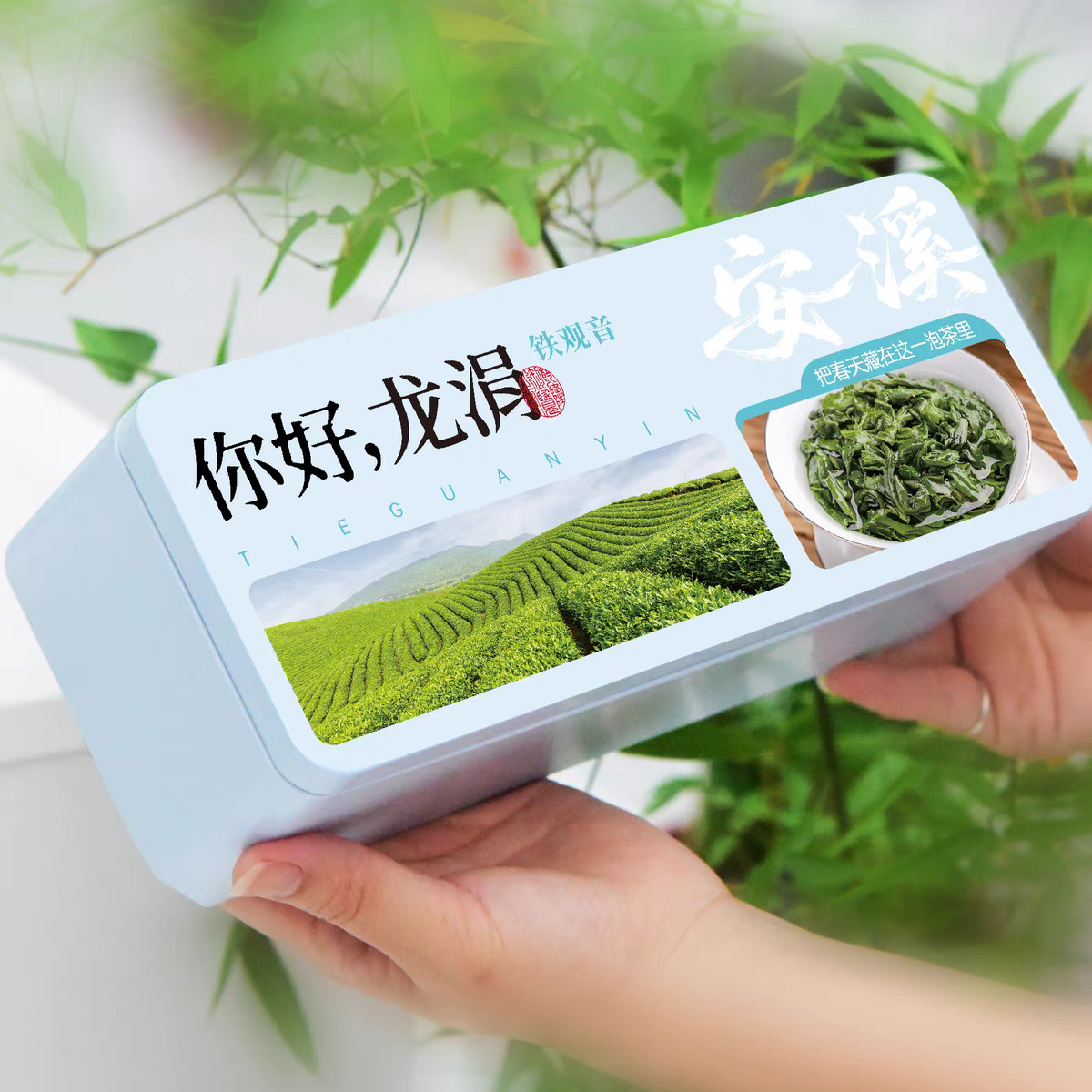 福建高山安溪铁观音茶叶浓香型兰花香乌龙新茶奶茶代用茶原料批发