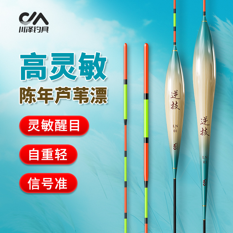 Chuanze authentic LN handmade reed float with shell, highly sensitive and eye-catching, thickened buoy, light mouth carp and crucian fish float